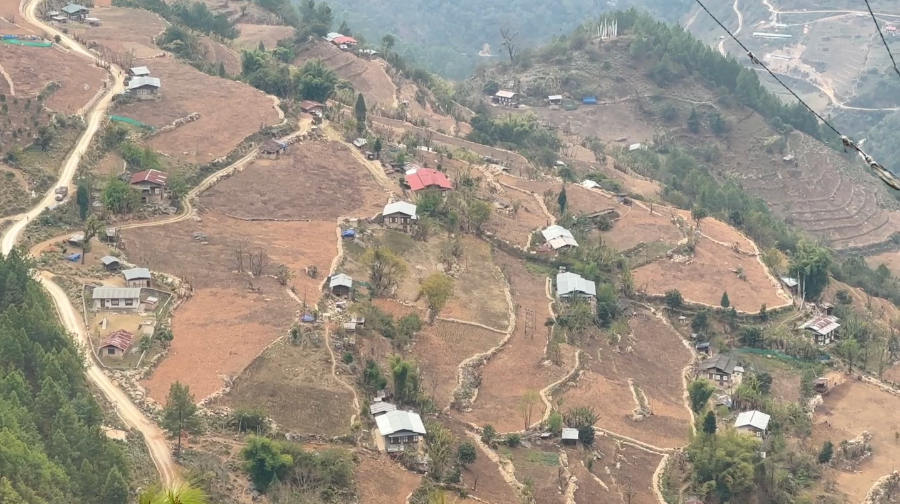 Steep slopes turn productive in Thangrong